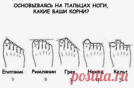 Посмотрите на свои ноги - узнаете своих предков