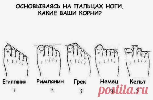 Посмотрите на свои ноги - узнаете своих предков