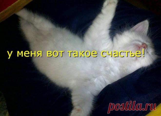 Счастье привалило)