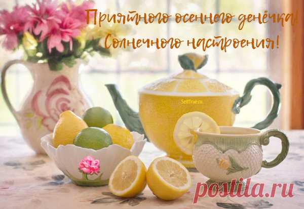 Осенний уход: как сохранить кожу здоровой | Женский Мир в Открытках | Яндекс Дзен