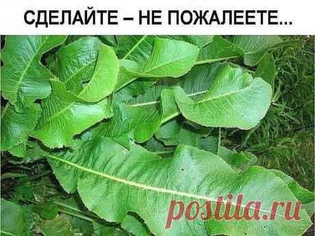 (41) Одноклассники