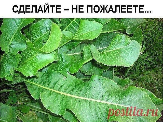 (41) Одноклассники