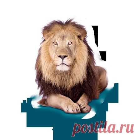 Расчетный счет и депозит для ИП и ООО | Открыть расчетный счет предпринимателя