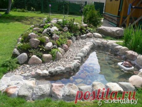 Идеи с водоемами и не только: Группа Ландшафтный дизайн