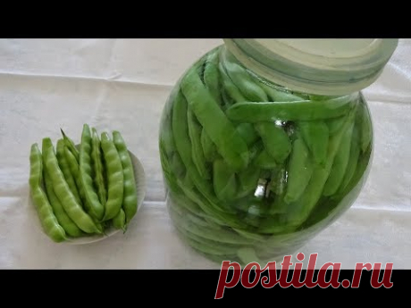 Засолка стручков фасоли, спаржи. Удобный способ. Стручковая зеленая фасоль на зиму без стерилизации.