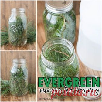 Evergreen Scented Vinegar for Cleaning Evergreen scented vinegar for cleaning can be made with just two simple ingredients: vinegar and fresh evergreens. Learn how to make this easy pine scented cleaner today!