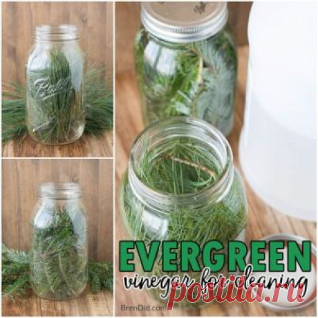 Evergreen Scented Vinegar for Cleaning Evergreen scented vinegar for cleaning can be made with just two simple ingredients: vinegar and fresh evergreens. Learn how to make this easy pine scented cleaner today!