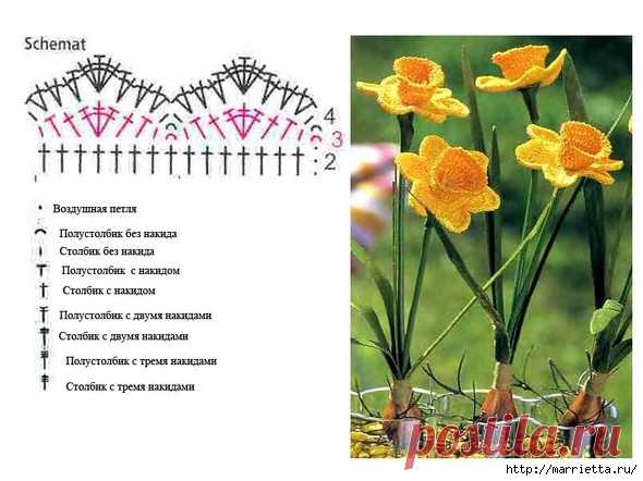 Цветы крючком. НАРЦИССЫ