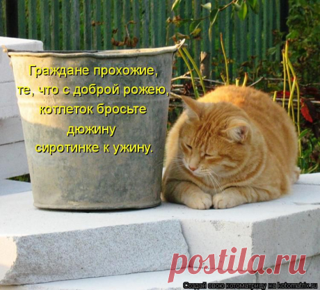 Котоматрица: Граждане прохожие, те, что с доброй рожею, сиротинке к ужину. котлеток