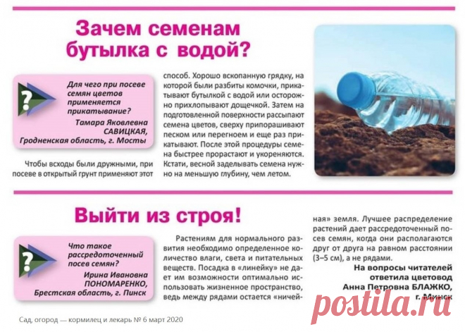 Зачем семенам бутылка с водой? Что такое рассредоточенный посев семян?