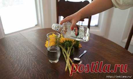 13 способов нетрадиционного применения... водки!