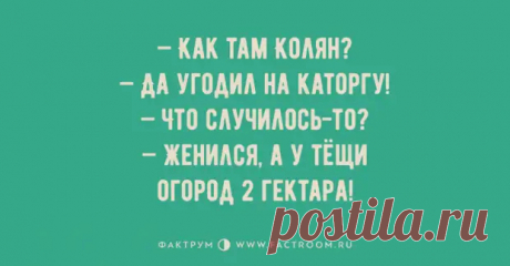 Потрясные анекдоты, способные развеселить всех и каждого - ЭпиЦентр позитива - медиаплатформа МирТесен