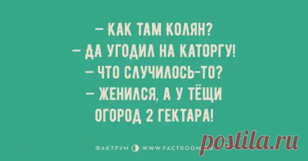 Потрясные анекдоты, способные развеселить всех и каждого - ЭпиЦентр позитива - медиаплатформа МирТесен