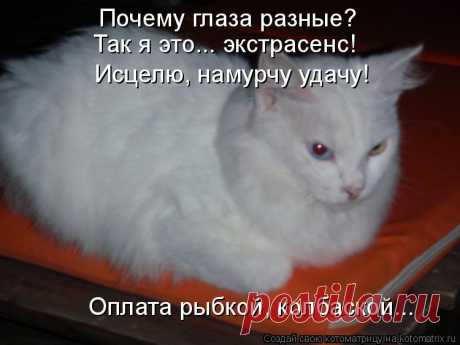 ОТКРОВЕНИЕ ВЫСШЕГО РАЗУМА. ЭКЗОТЕРИЧЕСКАЯ ПОВЕСТЬ. ПУТЕШЕСТВИЕ НА ПИКРАН.  МЕЖДУ СВЕТОМ И ТЬМОЙ. ЭЛЕКТРИЧКА с грохотом умчалась к свету большого города. Я стоял на платформе, силясь разглядеть что- либо впереди себя.  От дома меня отделяло десять м…