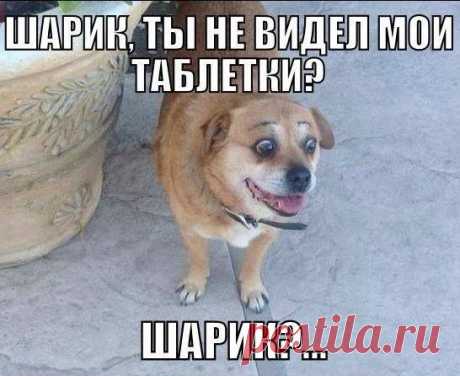 Клуб смеха &quot;Убил!&quot;