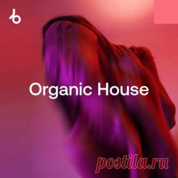Beatport Festival Essentials 2025 Organic House » MinimalFreaks.co