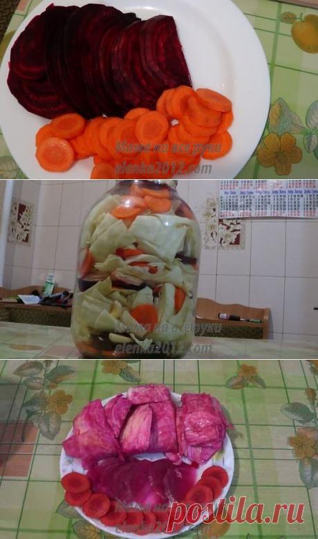 Капуста пелюстки со свеклой: рецепт приготовления