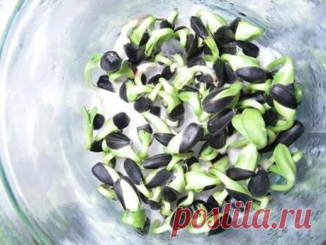 "Встретил я недавно своего давнего друга, да вначале и не узнал его.
Человеку за сорок, а на лице - ни морщинки, кожа чистая, розовая. 
Как в 20 лет. 
Потом разглядел, обнялись, разговорились и рассказал тот свою историю: несколько лет назад поехал в своё родное село и показали ему мужичка и спросили, сколько тому лет на вид: "60 лет", - отвечаю.
Ан нет, говорят, - 97 лет ему!"
И свели с тем мужичком-дедком. Дедок же рассказал свою историю: 
"В 40 лет поставили мне диагноз - рак двенадцатипе