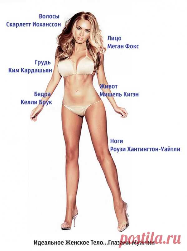 Как выглядит идеальная женщина глазами женщины и мужчины