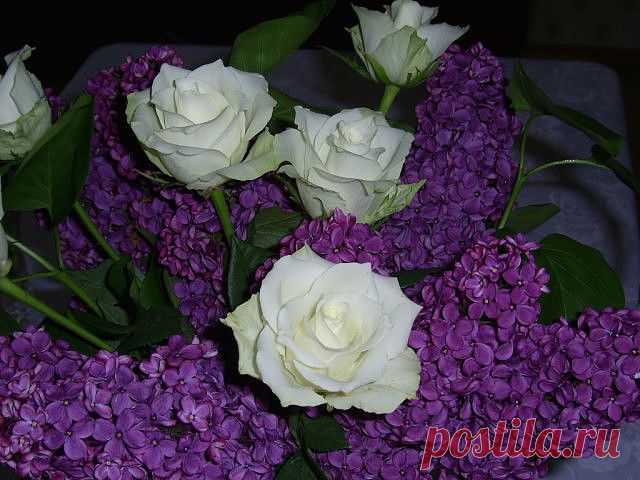 Пресвятая Богородица
НАТАЛИ ВУЛЬФЕРТ  ( РЕЗЯПОВА )