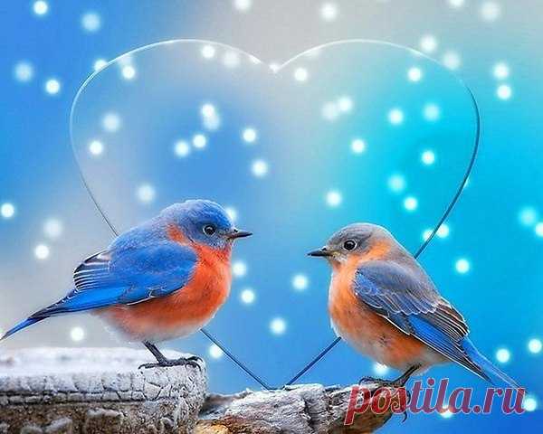 Не берите с собой в новый день старые проблемы, беды и разочарования – замените их новыми радостями, свежими впечатлениями и яркими эмоциями!