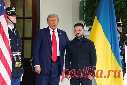 Наряд Зеленского на встрече с Трампом оценили