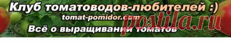 Форум - выращивание томатов, огород, дача - Клуб томатоводов