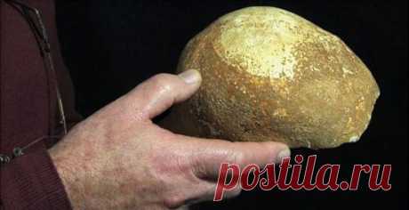 Стал известен маршрут миграции древнего человека из Африки в Евразию / Новости / Моя Планета