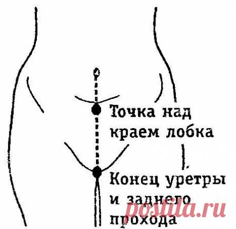 SPjI6qEh3qY.jpg (467×454)