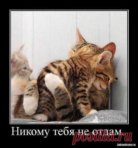 Мой Мир@Mail.Ru