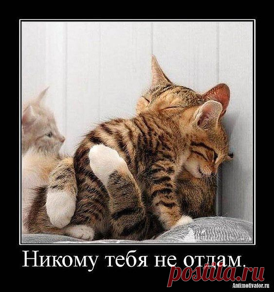 Мой Мир@Mail.Ru
