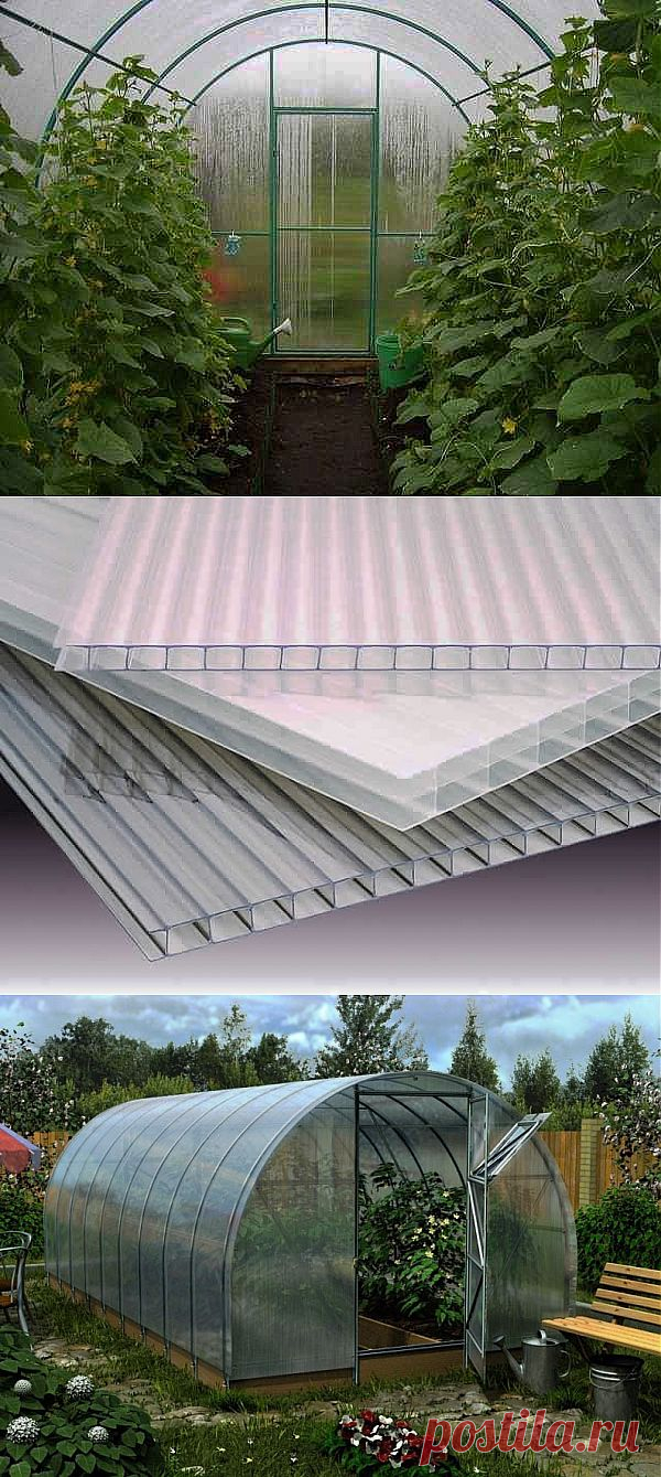 Теплицы из поликарбоната своими руками. / Журнал садовода Alensel / 7dach.ru