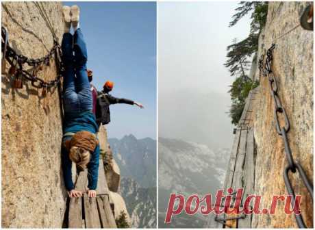 25 фотографий, от которых душа уходит в пятки / Всё самое лучшее из интернета