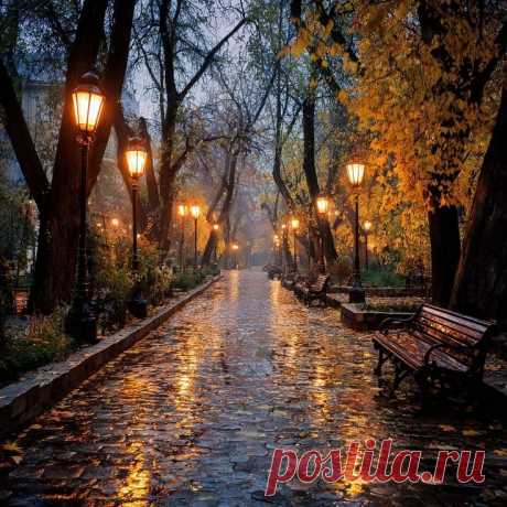 Изображение пина-истории