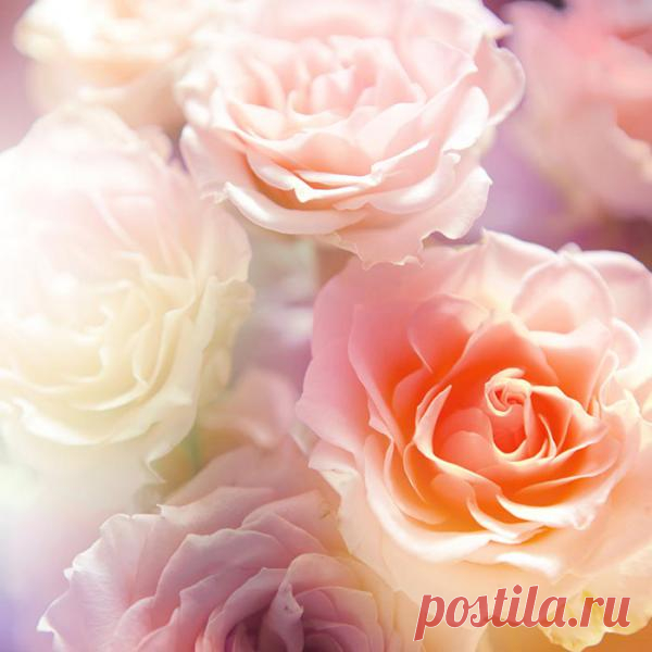 Фотообои 11-208 - Печать [term:name] на стену - Фабрика Интерьеров