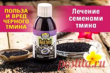 Король всех растений — лечит все болезни, кроме смерти! И это научно доказано! | Полезные советы