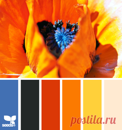 Цветы, деревья — источник вдохновения! | BepHuK собирает друзей