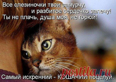 утешитель