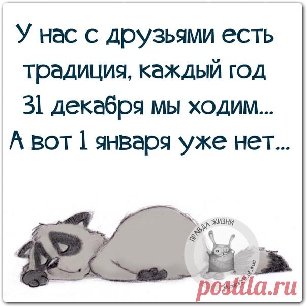 Правда Жизни | Юмор, Мотивация, Сарказм, Цитаты