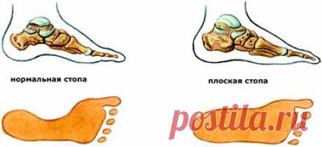 Метафизика Движения