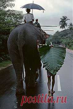 INDIA - KERALA | индия