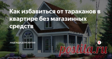 Как избавиться от тараканов в квартире без магазинных средств Советы бабушки Нади
Неприятные это соседи. Когда я была молодая, мне пришлось уехать...
Далеко от дома, в Туву, тогда так говорили. Сейчас это Тыва. Жила я в общежитии. И когда в обеденный перерыв забегала в свою комнату, то с косяка двери падали вниз тараканы. Мы с девчонками их называли Шуриками и постепенно попривыкли к такому соседству.