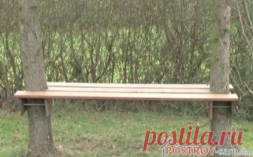 Как сделать скамейку между деревьев?