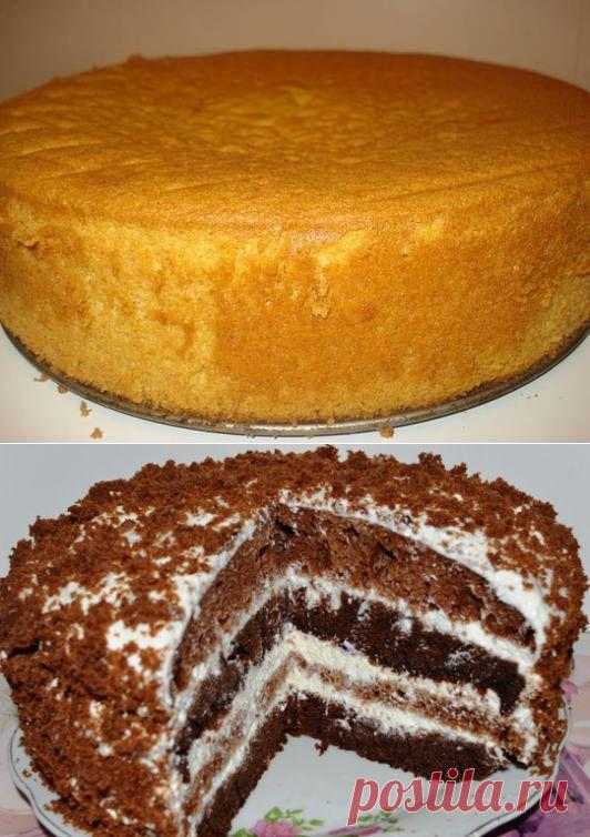 ГОТОВИМ ВКУСНО И ПО-ДОМАШНЕМУ торт "Чёрный принц" в мультиварке
