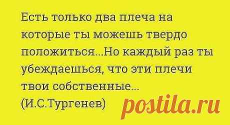 (12) Одноклассники