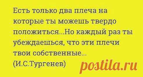 (12) Одноклассники