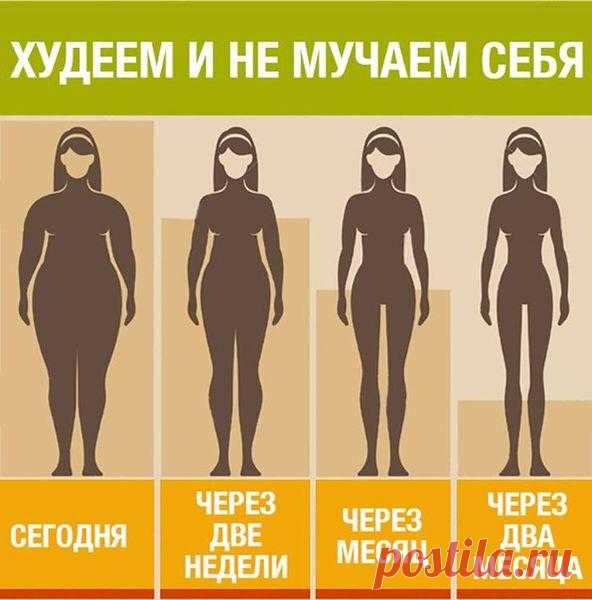 Как есть и худеть: что нужно кушать, чтобы не поправляться Не всегда в борьбе за красивую фигуру помогают только спортивные нагрузки и походы в массажные салоны. Все это замечательно, но не стоит забывать, что организму нужен и щадящий режим в области питания. Очень замечательно помогут привести фигуру в норму разгрузочные дни и диеты. Как есть и худеть?