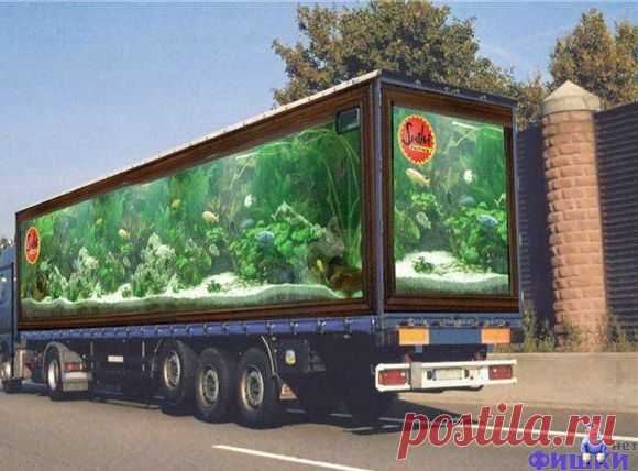 3D рисунки-фото.