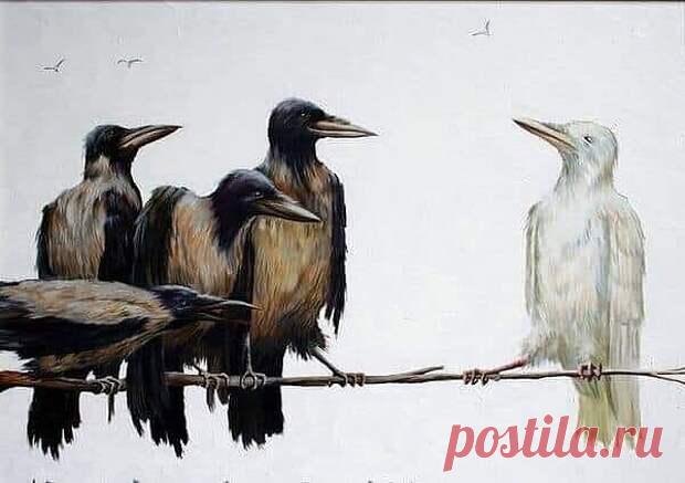 Каждое испытание в нашей жизни даёт нам шанс стать лучше или хужe - Сонники, гороскопы, гадания - медиаплатформа МирТесен Обычная черная ворона зашла в ресторан и тут же заметила сидящую в углу белую ворону. Она подошла к стойке, взяла свой кошелёк и демонстративно крикнула: