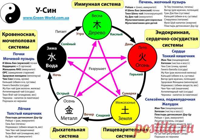 У СИН - Пять направлений движения Ци